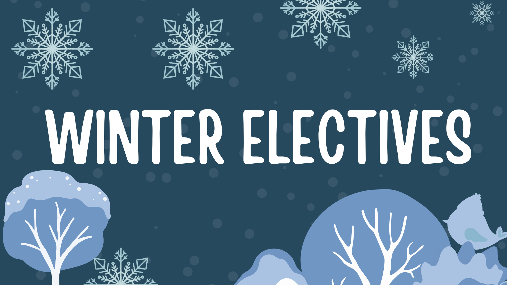 Winter Electives